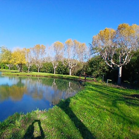 Domaine Du Lac De La Vallee La Roquette-sur-Siagne Exterior photo