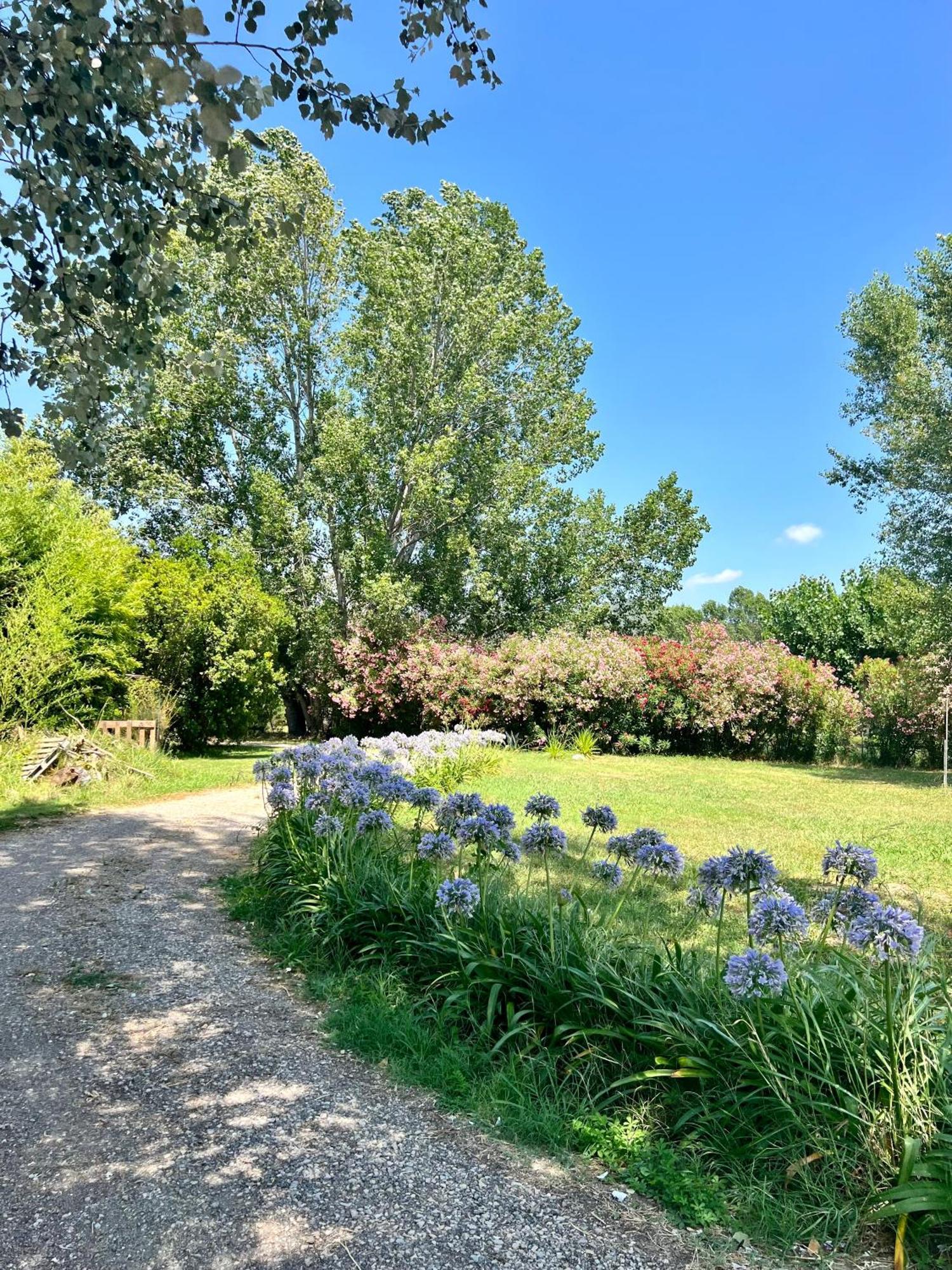 Domaine Du Lac De La Vallee La Roquette-sur-Siagne Exterior photo